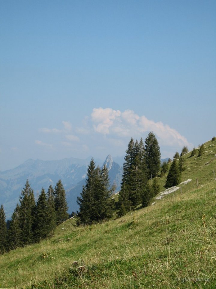 20050901_061